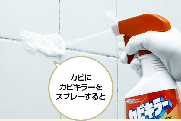 カビにカビキラーをスプレーすると
