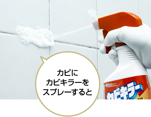 カビにカビキラーをスプレーすると