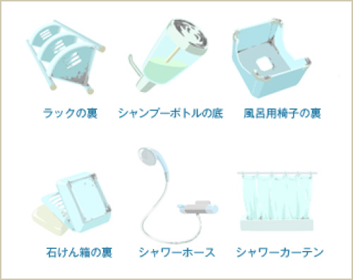 ラックの裏、シャンプーボトルの底、風呂用椅子の裏、石けん箱の裏、シャワーホース、シャワーカーテン