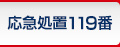 ���}���u119��