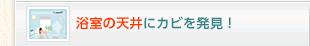 �����̓V��ɃJ�r�𔭌��I
