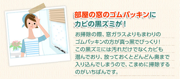 部屋の窓のゴムパッキンにカビの黒ズミが。これもキレイになるかしら?