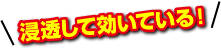 浸透して訊いている!
