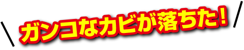 ガンコなカビが落ちた!